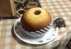 funapplecaketurtlesm