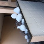 Snowman remains 4