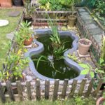 Pond 2